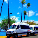 Employment Verification for VIP Trans