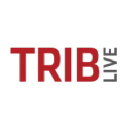 Employment Verification for Trib Total Media