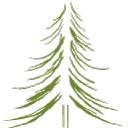 Employment Verification for Pine Manor