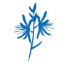 Employment Verification for Kalispel Tribe of Indians