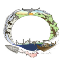 Tanana Chiefs Conference