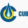 Employment Verification for Cub Energy