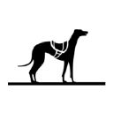 Employment Verification for John Paul