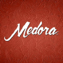 THEODORE ROOSEVELT MEDORA FOUNDATION