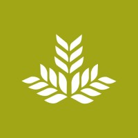 Northeast Georgia Physicians Group