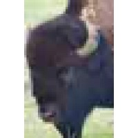 Garden City Public Schools