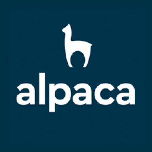 BELSONO MANAGEMENT GROUP