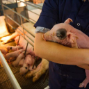 Employment Verification for EMP SERV