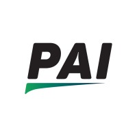 Payment Alliance International