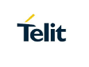 Employment Verification for Telit