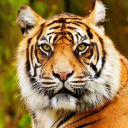 Marietta City School District