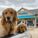 Employment Verification for Craddock Oil