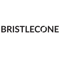 Employment Verification for Bristlecone