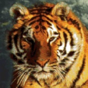 SMITHVILLE INDEPENDENT SCHOOL DISTRICT