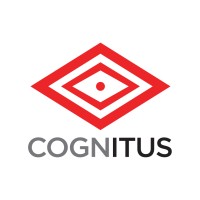 Cognitus Consulting