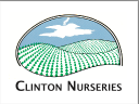 CLINTON NURSERIES
