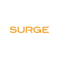 Surge Staffing